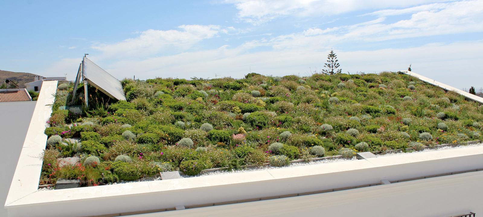 Pitched green roof